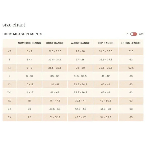 NWT Birdy Grey Lianna Maxi Dress Twisted V-Neck Empire Waist Mesh Mauve Size XS - Picture 10 of 12